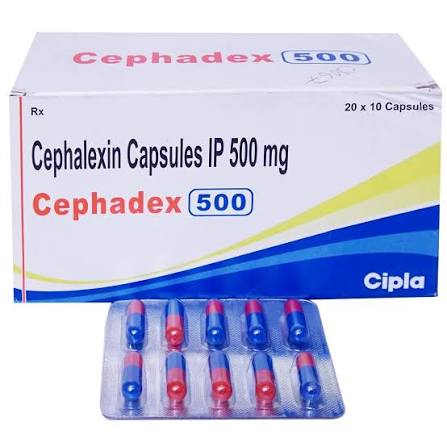 Buy Cephadex 500 Capsule online | Uses, Side Effects, Price and substitutes | Apollo Pharmacy