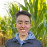 60+ "Gersch" profiles