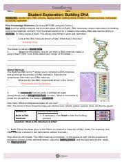 Buildingdnase Key Building Dna Answer Key Vocabulary Double Helix Dna Enzyme Mutation Nitrogenous Base Nucleoside Nucleotide Replication Prior Course Hero