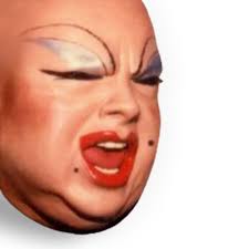 Lily Pond Children's Picture Book