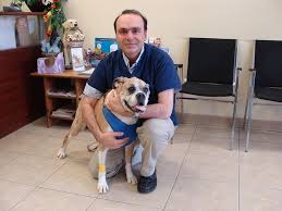 Family owned and operated vet hospital, located in the heart of bosque farms, new mexico. Vellore Village Pet Hospital Vaughan Facebook
