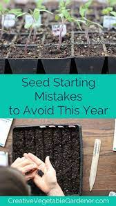 10 Common Seed Starting Mistakes To Avoid This Year Seed Starting Garden Seeds Gardening For Beginners
