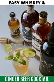 Combine wine, ginger beer, and juice of half of the lime in a cocktail shaker or tall glass and stir until combined. Easy Whiskey And Ginger Beer Cocktail Drink Recipe