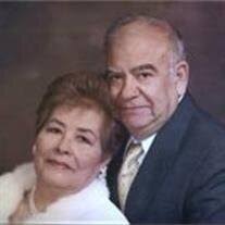 Bertha Trevino Obituary