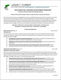 Business Development Resume Example Distinctive Career Services In 2020 Business Development Resume Examples Job Resume Examples