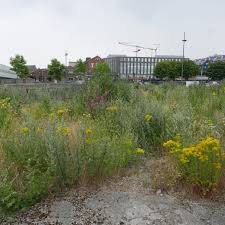 Check spelling or type a new query. L1110241 Copy Welcome To Run Rethinking Urban Nature