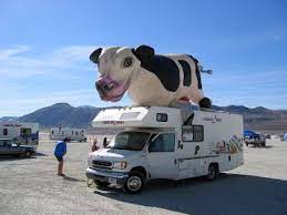 Motorhomes And Caravans What Have In Common A Cow And An Rv Recreational Vehicles Vehicles Rv
