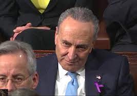 Now schumer stands as the only check against republican dominance of congress; Scott Adams On Twitter Starring Chuck Schumer As The Penguin
