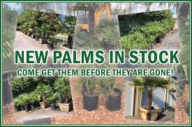 Lowe's bayshore nursery & garden center is in contact with over 50 national growers from across the nation to supply you with the best. K A Landscape Supply Locally Owned And Operated For 7 Years Now And Here To Provide You With The Nicest Products Friendly Staff And A Big Selection Of Everything You Need To