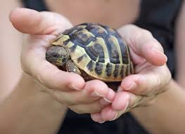 Maybe you would like to learn more about one of these? Kakoj Segodnya Den 23 Maya 2021 Prazdniki Imeniny Primety