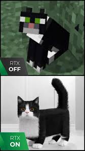 The new Minecraft RTX update looks sick! : rmemes