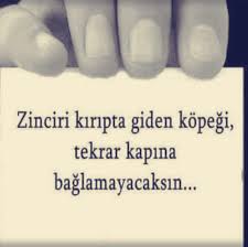 Zinciri Kirip Giden Kopegi Bir Daha Kapiya Baglamayacaksin Alintilar Ozlu Sozler Siir