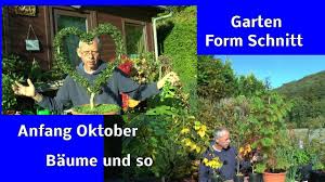 Schließlich sollen diese einen guten eindruck von haus und garten. Garten Im Herbst Etwas Schneiden Und Gewachsene Kleine Baume Zeigen Youtube