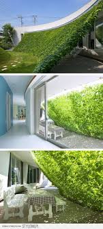 Sciana Z Winorosli Swietny Pomysl Do Twojego Domu Na Stylowi Pl Shade Structure Green Architecture Backyard