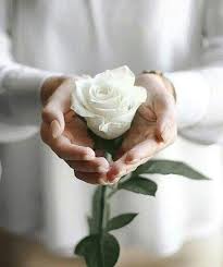 ну ну ну ну ну ну ну ну ну ну Uberi Krasotu Chto Ostanetsya Uberi Chistotu Vsyo Razvalitsya Nu A Zhit Bez Lyubvi Razve Hochetsya Girls With Flowers Beautiful Oil Paintings Pretty Roses