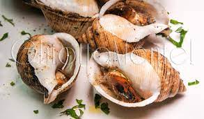 Tra le varietà di pesci, molluschi e crostacei che si riescono tuttora a trovare sul nostro mare adriatico, ogni tanto c'è qualcosa che mi lascia ancora sorpresa. Lumaconi Di Mare In Padella Ghiottamente