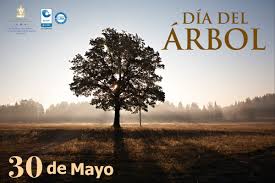 Siguiendo la tradición que importaron los pioneros suecos. Conatel ×'×˜×•×•×™×˜×¨ Feliz Dia Del Arbol Hoy Mas Que Nunca Hay Que Evaluar Nuestras Acciones Hacia El Medio Ambiente Y Tomar Conciencia Sobre La Importancia De La Naturaleza Conatelhn Diadelarbol Cuidemoslosbosques Https T Co Sdkaaq5rkh