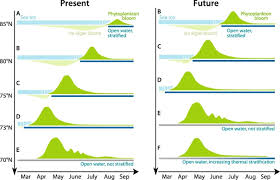 Maybe you would like to learn more about one of these? Towards A Unifying Pan Arctic Perspective A Conceptual Modelling Toolkit Sciencedirect