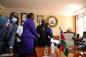 The nomination of anne kananu as nairobi governor mike sonko's deputy now hangs in the balance as county assembly speaker. Ubkoj1f0ynsofm