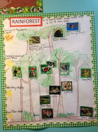 Rainforest Habitat Pictorial Diagram Input This Concept By G L A D Introduces Tough Vocabulary Rainforest Activities Rainforest Classroom Rainforest Project
