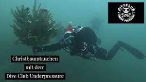 Newton's second law determines the form of the atom dynamics, subject to initial conditions. Newton S Third Law Worksheet Answers