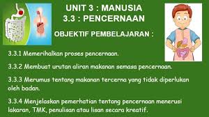Makanan bergizi dengan susunan seimbang menjadikan tubuh sehat. Sk Hicom Rasmi Kelas Online Sains Tahun 3 4 Isnin 20 Facebook