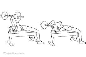Maybe you would like to learn more about one of these? Flat Bench Barbell Skull Crushers Workoutlabs Exercise Guide