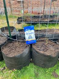 We did not find results for: Planted Blueberry Bushes Today In 20 Gallon Smart Pots When Planting Blueberries It S Import Planting Blueberries Plant Blueberries Bushes Plant Blueberries