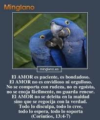 Frases Sobre El Amor Real Y Autentico Amor Verdadero Frases Frases Amor
