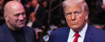 Wes Parkhurst (%{weight}) MMA Profile