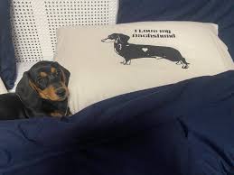 GG Lowriders (@gg_lowriders) • Instagram photos and videos