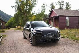 Image result for Tamarind Brown 2023 Q7