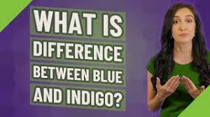 The blue grosbeak has a small black mask near the base of the bill going over the eye that the indigo bunting lacks. What Is Difference Between Blue And Indigo Youtube