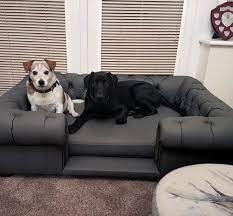 Large spare cover for dog bed,dog beds,pet beds,dogbed,dogbeds, cushions. Balmoral Grey Real Leather Dog Bed Uk D For Dog