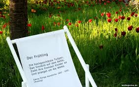 The britzer is one of the most important parks in neukoelln and the blooming of the tulips calls thousands of visitors. Tulipan Im Britzer Garten Berlingarten