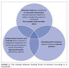 Image result for Partner Violence Screen