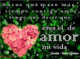 Antes Que Pase Mas Tiempo Contigo Amor Tengo Que Decir Que Eres El Amor De Mi Vida Camila Todo Cambio