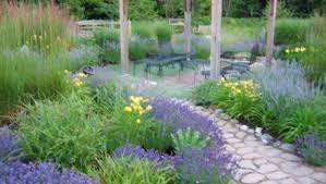 It is human nature to make their ambiances appealing. Lavender Garden Wins Backyard Garden Spaces Contest Finegardening