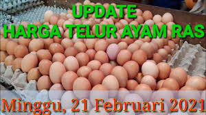Semoga bermanfaat dan membantu usaha anda. Harga Telur Ayam Ras Hari Ini Minggu 21 Februari 2021 Youtube