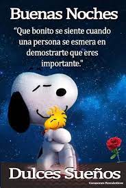 Pin De Carmen Ayala En Fotos Mensajes Romanticos De Buenas Noches Buenas Noches Osito Saludos De Buenas Noches