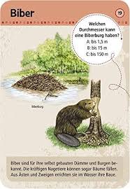 In der pkv kann man kinder nicht. Moses Mos09724 Expedition Natur 50 Tierspuren Lernkarten Kaufen Spielwaren Thalia