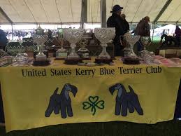 Kerry blue terrier pups girls and boys available to correct homes only show dog parents multi champion blood lines serious pedigrees on both sides of parents. United States Kerry Blue Terrier Club Public Group Facebook