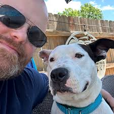 At the end of May, we finally rescued this girl from the streets. She was  covered in fleas and ticks, and we were so happy to finally get her! We  named her