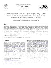 Image result for Cuscuta abyssinica