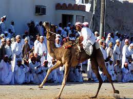 Since ancient times, camel racing has been a popular racing sport in the uae. Camel Racing A Deep Rooted Traditional Sport