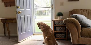 Shipping information for genius retractable screens : How To Fix A Storm Door Retractable Screen Glass Doctor