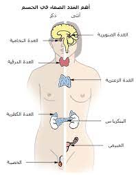 غدة درقية ويكيبيديا