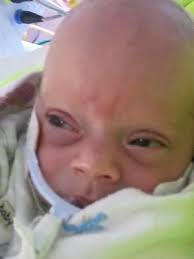 Vincent Lazzaro Obituary (2013