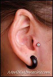 Natural Elf Ear Body Mods Elf Ears Body Modifications