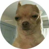 40+ profili “Laface”